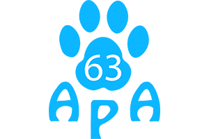 logo association: APA 63